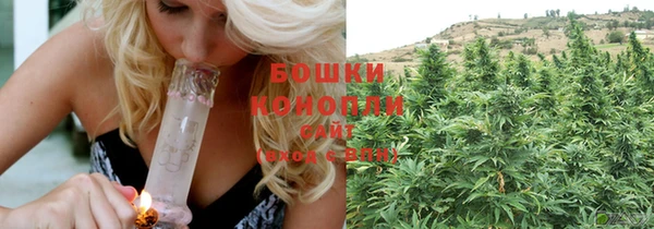 молекула духа Барнаул
