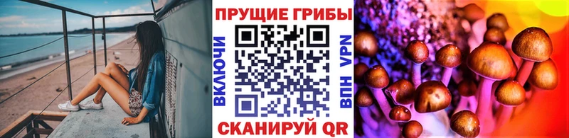 площадка состав  Комсомольск-на-Амуре  Галлюциногенные грибы MAGIC MUSHROOMS 